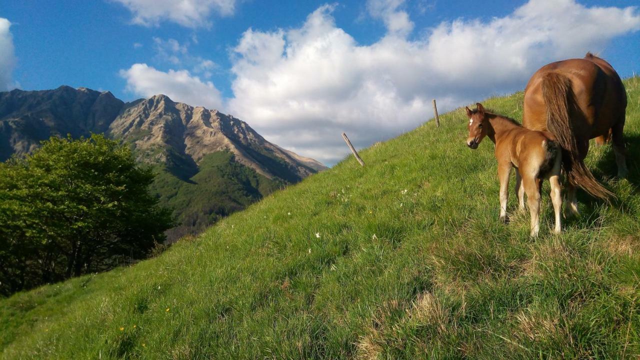 B&B La Bredia Fivizzano Buitenkant foto